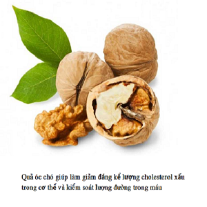 Quả óc chó có thật sự tốt cho bệnh tiểu đường không và tốt như thế nào?